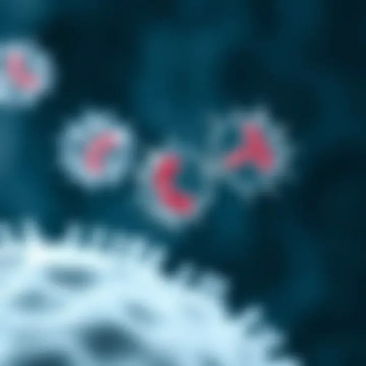 Illustration comparing binary fission with other reproductive strategies in microorganisms