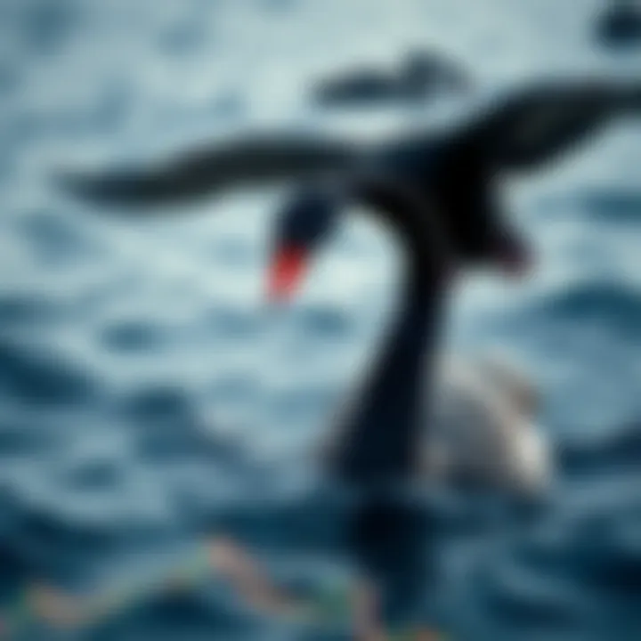 Abstract representation of a black swan flying over a turbulent financial graph indicating unexpected market disruption