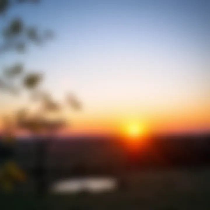 Sunset over a serene game reserve in Bloemfontein with wildlife visible near waterholes